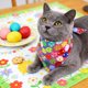 thumbnail image 5 of Pañuelo triangular de poliéster con forma de huevo de Pascua para mascotas, babero festivo para gatos y perros, ideal como accesorio fotográfico y decoración para fiestas de Pascua., 5 of 6