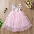 thumbnail image 1 of Faldas de princesa de ropa para ni?os europeos y americanos, falda de hojaldre de malla dulce y elegante para ni?os grandes, rosa, 120 cm LingWen 8390605786655, 1 of 1