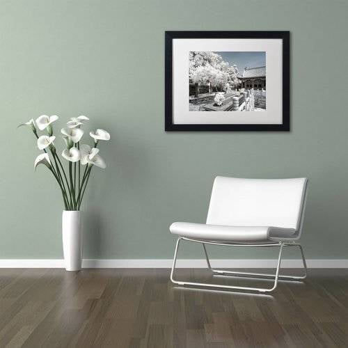 Trademark Fine Art "Reflection" Canvas Art by Philippe Hugonnard, White Matte, Black Frame