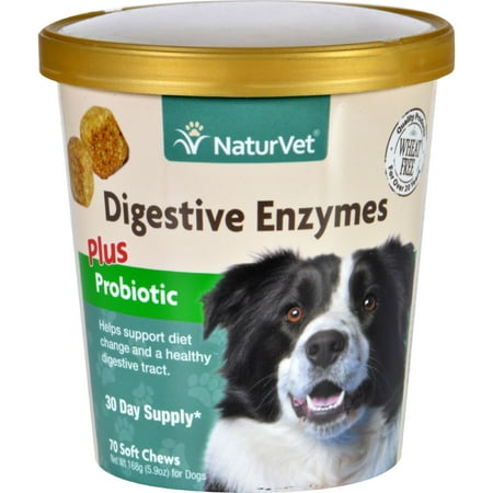 digestive enzymes for dogs naturvet digestive enzymes plus probiotics dogs cup 70 soft chews walmart digestive enzymes for dogs naturvet digestive enzymes plus probiotics dogs cup 70 soft chews walmart