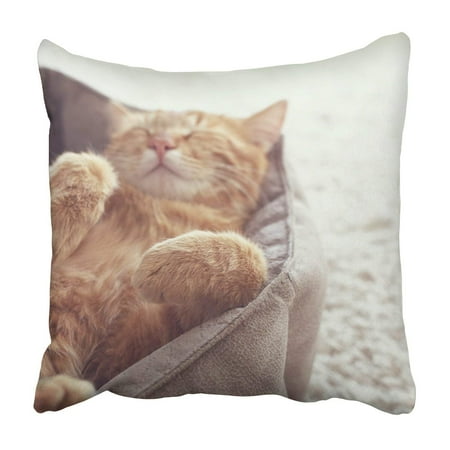 Ginger Bed Cover - ARTJIA A ginger cat sleeps in his soft cozy bed Pillowcase Throw Pillow Cover Case 16x16 inches