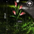 thumbnail image 4 of Solar Lights Outdoor Garden Stake Flower Lights, Multi Color Changing LED Lily Solar Powered Lights for Patio, Lawn, Garden, Yard Decoration, 4 of 7