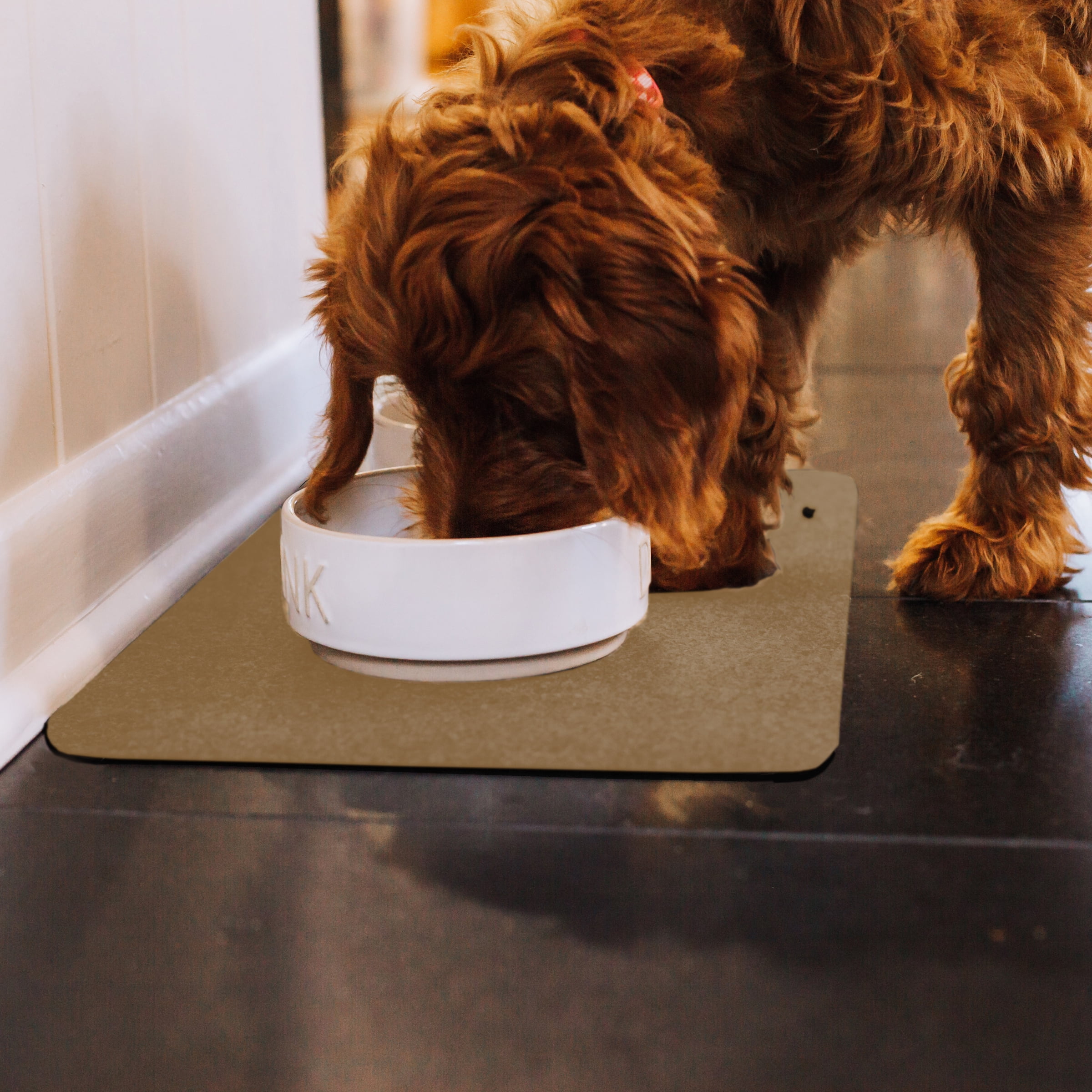 G-Floor Drip & Dry 12" x 20" Absorbent Pet Placemat, Tan (6 Pack)