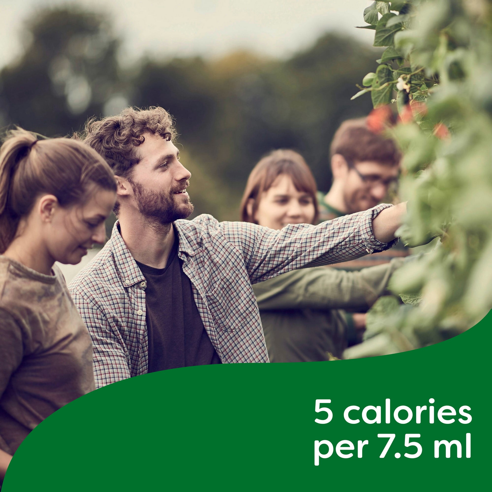 Knorr Bovril Beef Flavour Liquid Bouillon Concentrate, 250 mL Concentrated Liquid