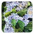 thumbnail image 1 of Carolines Treasures 8730FC Sous-Verres en Mousse Hortensia- Set de 4, 1 of 1