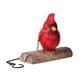 thumbnail image 4 of Adornos De Pájaro Cardenal Estatua De Pájaro De Resina Colgante Para Decoración De Jardín Al Aire Libre Cateissary HA037033-00, 4 of 6