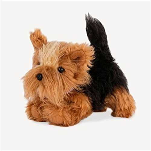 our generation yorkshire terrier pup