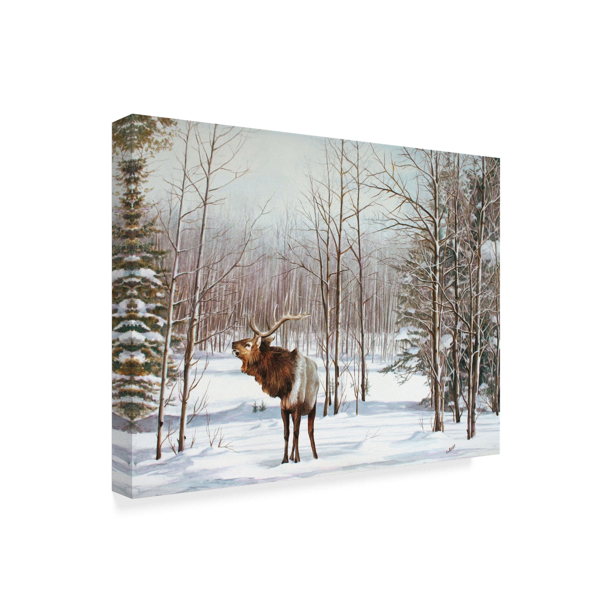 Trademark Fine Art 'Valley Of The Utes' Canvas Art by Carol J Rupp