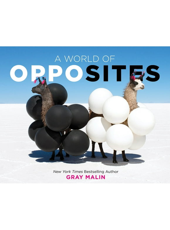 A World of Opposites : A Picture Book (Hardcover)