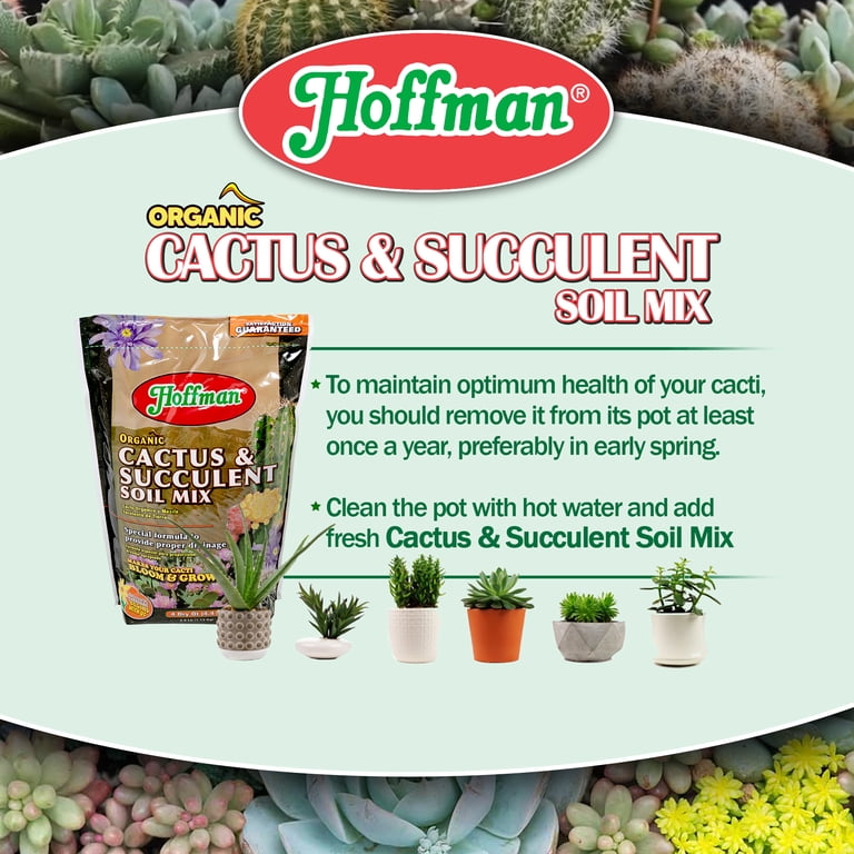 Hoffman Organic Cactus and Succulent Soil Mix 4Qt (2.5lb)