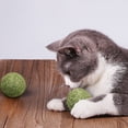 thumbnail image 5 of Catnip Ball Toy for Indoor Cats 3.94in Safe Teeth Cleaning Stress Relief Interactive Cat Toy with Built-in Soundstone Natural Mint Formula for Kittens Adult Cats Play Exercise Enrichment Supplies, 5 of 5
