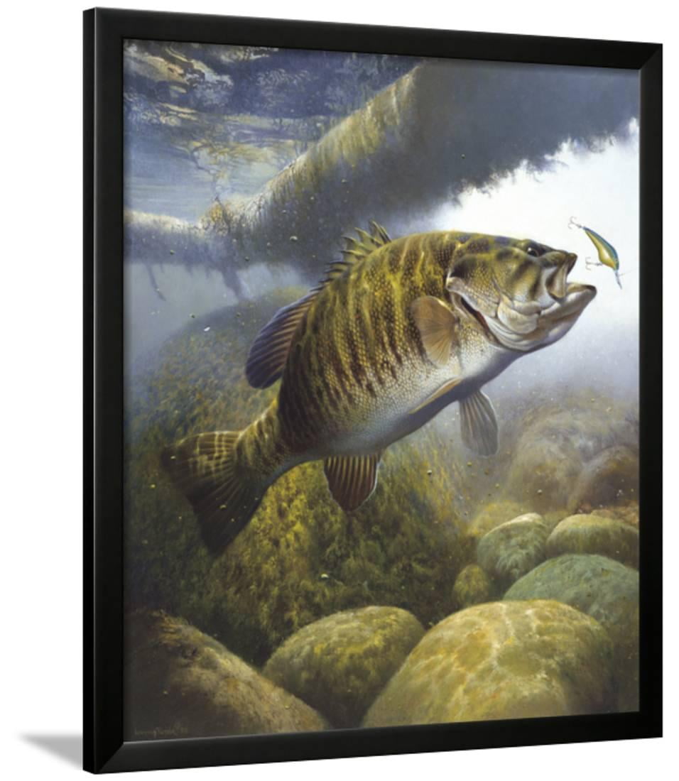 Smallmouth Bass Framed Print Wall Art By Larry Tople - Walmart.com