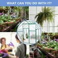 thumbnail image 3 of imerelez Green-6 x 8 FT Outdoor Patio Greenhouse Walk-in Greenhouses for Outside, 3 of 8