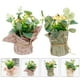 thumbnail image 4 of KAKOWELY 2 piezas de plantas artificiales decorativas de simulación de plantas en maceta, 4 of 4