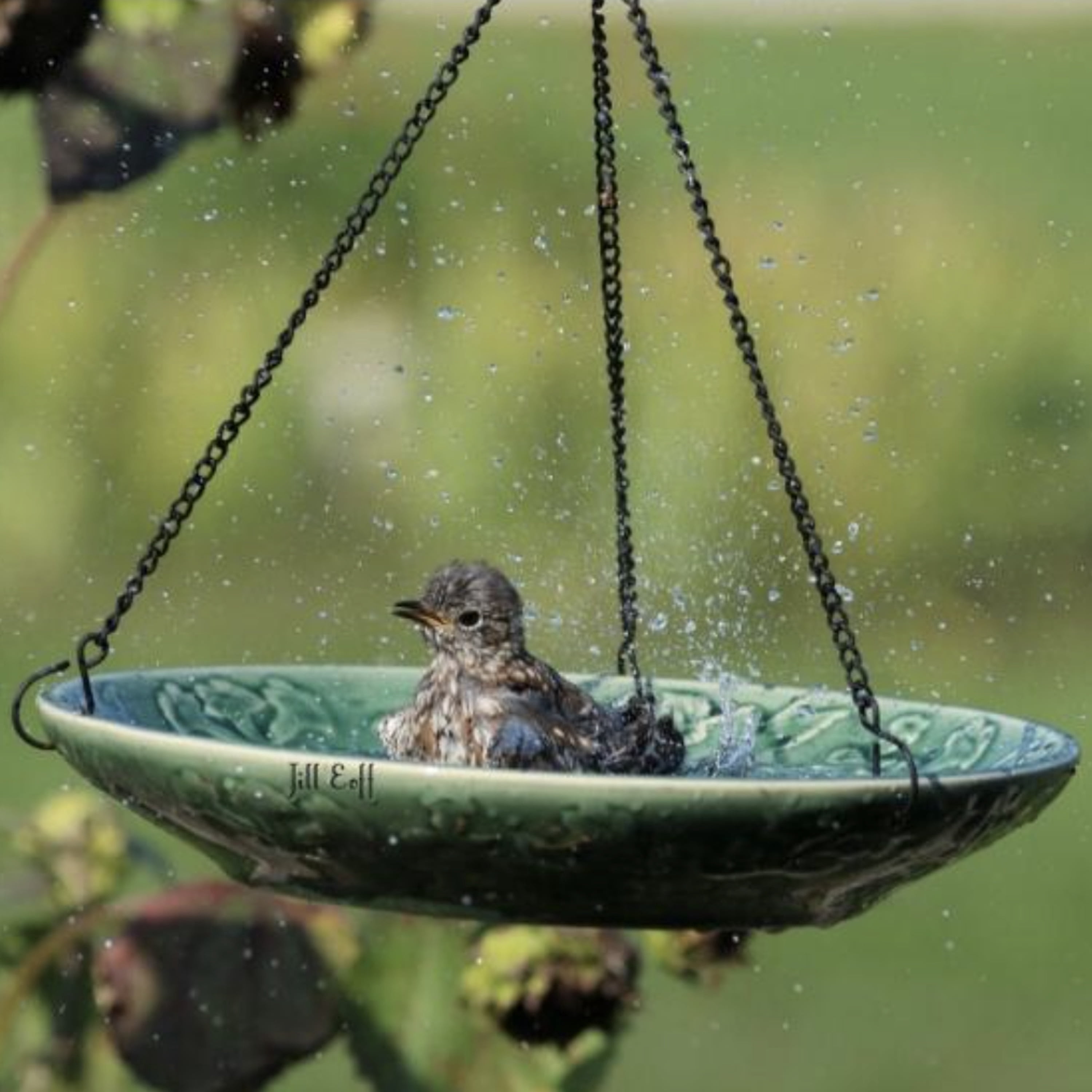 Backyard Essentials Bird Bath Hanging Birdbath Green Songbird for Bird Feeders