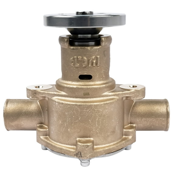 GELUOXI Sea Raw Water Pump for Pleasurecraft RA057031 Crusader 40050 Sherwood P1014 P101
