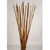 Natural River Cane 6 Ft, Dark Honey, Pack of 7