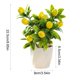 thumbnail image 3 of High-End Artificial Fruit Bonsai Flower Arrangements Indoor Home Fashion Decorations Green Plants And Artificial Flowers, 3 of 6