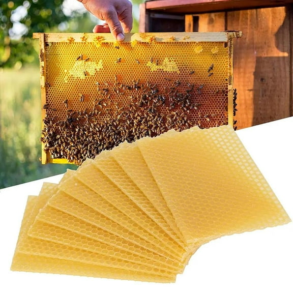 Honey Honey Sheets Beehive Wax Foundation Beekeeping Equipment Bee Comb Honey Frame