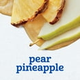 thumbnail image 3 of Gerber Stage 2 Baby Food, Pear Pineapple Puree Tub, Baby Puree, 2PK 8 oz, 3 of 16