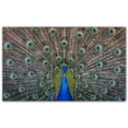 thumbnail image 1 of Picture-Tiles.com: Bird Ceramic Tile Wall Mural WAL500212-53M. 30"W x 18"H using (15) 6" x 6" Ceramic Tiles-Satin Finish, 1 of 3