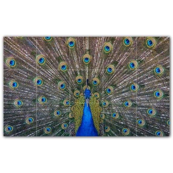 Picture-Tiles.com: Bird Ceramic Tile Wall Mural WAL500212-53M. 30"W x 18"H using (15) 6" x 6" Ceramic Tiles-Satin Finish