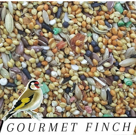 Gourmet  & Canary Food with Fruit & Vegetables Feed Diet Choose size!!!