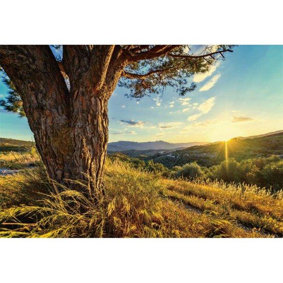 DORCEV 10x8ft Natural Spring Tree Photography Backdrop Sunrise Blue Sky White Cloud Rural Aged Tree Mountain Grass Field Outdoors Picnic Kids Adults Camping Theme Photo Booth Shoot Vinyl Studio Props