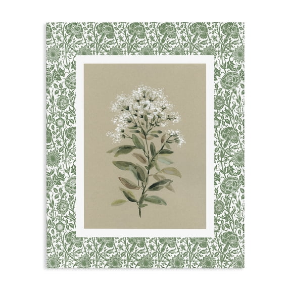 Stupell Industries Plant on Green Botanicals Canvas Wall Art, design by Carol Robinson