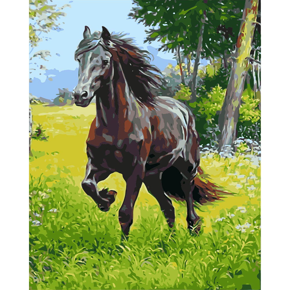 Running Horse Animal Canvas Picture Oil DIY Paint Set by Numbers Kits for Adults 