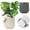 Gray,white,milk-yellow, variant on Plant Pots，Set of 3 Plastic Pots for Indoor Plants,Flower Pots Outdoor Planters with Drainage Hole and Seamless Saucer,White
