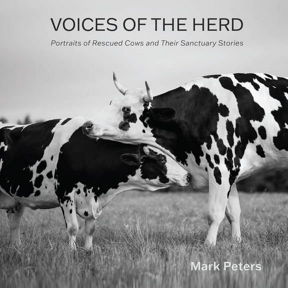 Voices of the Herd: Portraits of Rescued Cows and Their Sanctuary Stories, (Hardcover)