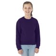 thumbnail image 1 of Jerzees Youth NuBlend Crew Neck Sweatshirt, M, Deep Purple, 1 of 8