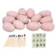 thumbnail image 2 of Dinosaur Egg Toy, 12 Set Dinosaur Egg Dig Kit Educational  For Home, 2 of 8