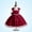 Wine, variant on NAISIBABY Girls Princess Dress 6T, Back Zipper Embroidered Mesh Bowknot Straps Birthday Wedding Pageant Dress Wine(2-8T)