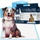 thumbnail image 1 of Almohadillas de entrenamiento para cachorros American Kennel Club, 50 unidades, talla XL, 1 of 6
