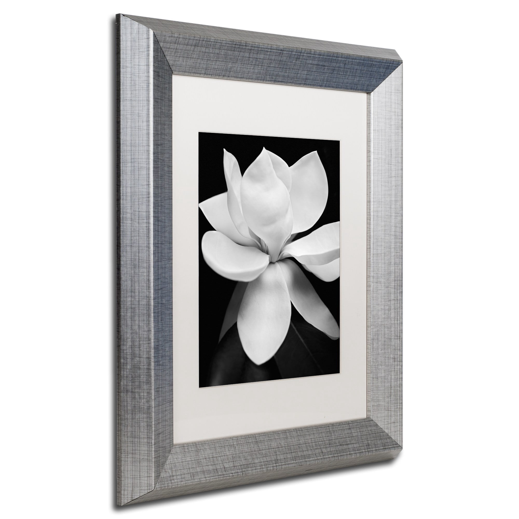Michael Harrison 'Magnolia' Matted Framed Art