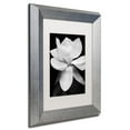 thumbnail image 3 of Michael Harrison 'Magnolia' Matted Framed Art, 3 of 5