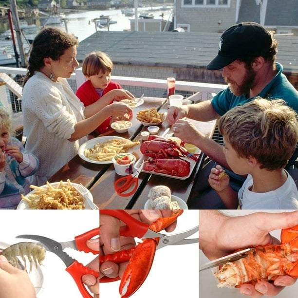 Crab hot sale grooming shears