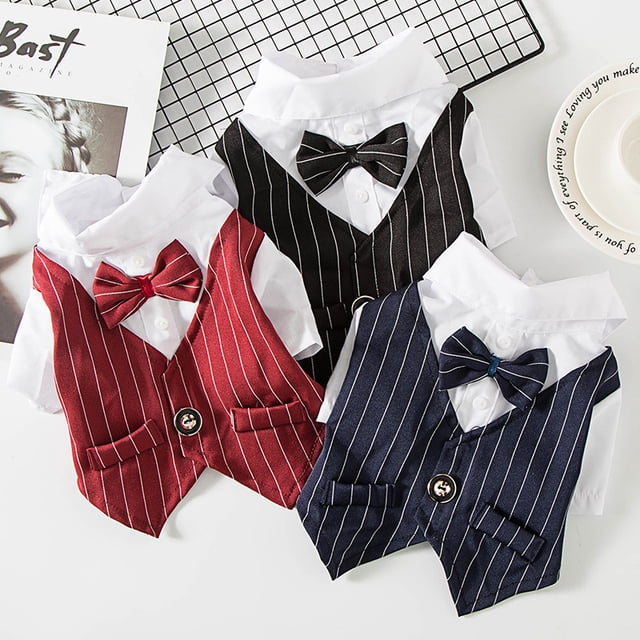 Ropa para mascotas Ropa para gatos y perros Ropa de peluche Ropa para perros Traje de primavera y verano Ropa para mascotas.