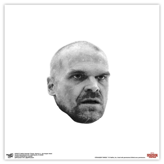 Gallery Pops Netflix Stranger Things: Season 4 - Jim Hopper Head Wall Art, Unframed Version, 12" x 12"