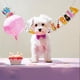 thumbnail image 4 of Injueey 1 Uds. Set 6,5 pies Tarjeta de papel de arcoíris decoración Banner colgante Banner decoraciones para fiesta de cumpleaños cartel Kits de decoración para fiestas, 4 of 6