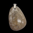 thumbnail image 3 of Coral Fossilized with Tiny Critters Sterling Silver Pendant | 2 1/4" Long |, 3 of 9