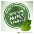 thumbnail image 4 of Pasta de dientes Colgate Max Fresh Whitening Clean Mint 175 ml, paquete de 2, 4 of 6