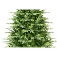 thumbnail image 2 of Puleo 7.5ft Pre-lit Carrington Fir Tree, 2 of 7