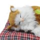 thumbnail image 5 of Simulación Sleeping Cat Nap Gatten Con para Escritorio () Blanco Amarillo, 5 of 9