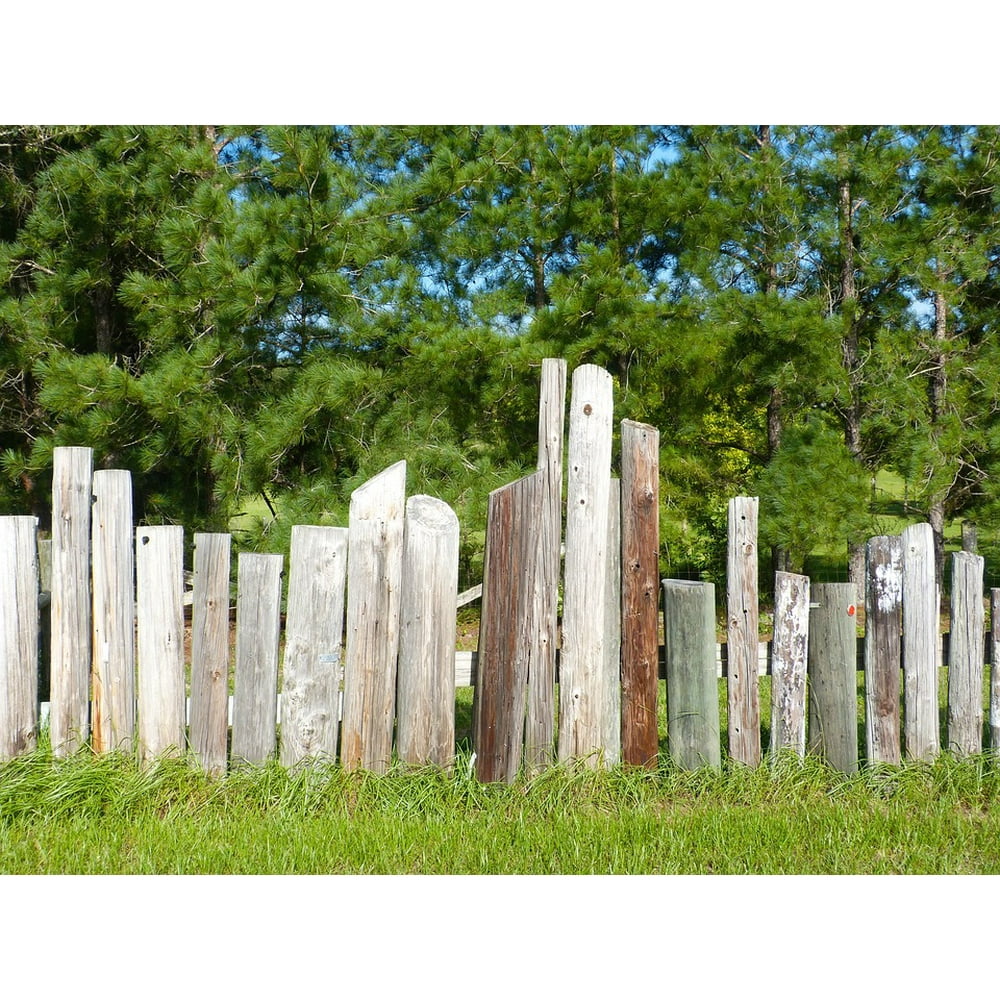 Grass Fence Wooden Fence Telephone Poles Poles20 Inch By 30 Inch