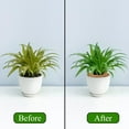 thumbnail image 5 of CD-20 Pack 12 Inch Coconut Fibers Mulch Ring Tree Protector Mat, Plant Cover Mulch Mat Weed Mats Coco Coir Mulch Ring Mat for Cypress, Landscaping, Tree Disc Plant Cover, Soil*1, 5 of 7