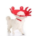 thumbnail image 4 of Elizabeth Collar Cat and Puppy Post Surgery Pet Collar-S, 4 of 6
