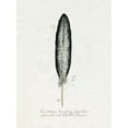 thumbnail image 2 of Popp, Grace 12x14 White Modern Wood Framed Museum Art Print Titled - Found Feather II, 2 of 4